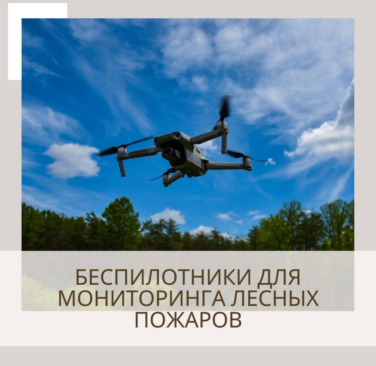 Беспилотники для мониторинга лесных пожаров